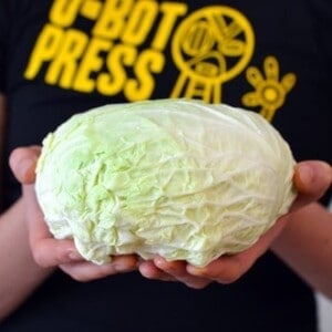 Someone holding a green napa cabbage.