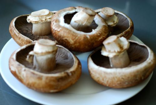 Five portobello mushrooms on a plate.